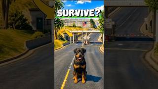 which Animal Can Survive the GTA 5 Military Base? 😱 | GTA 5 Experiment