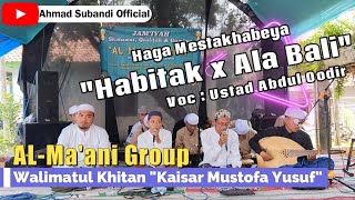 HABITAK - AL-MA'ANI GROUP ft Ust. Abdul Qodir, Walimatul Khitan Kaisar
