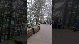 Lal Tibba Landour