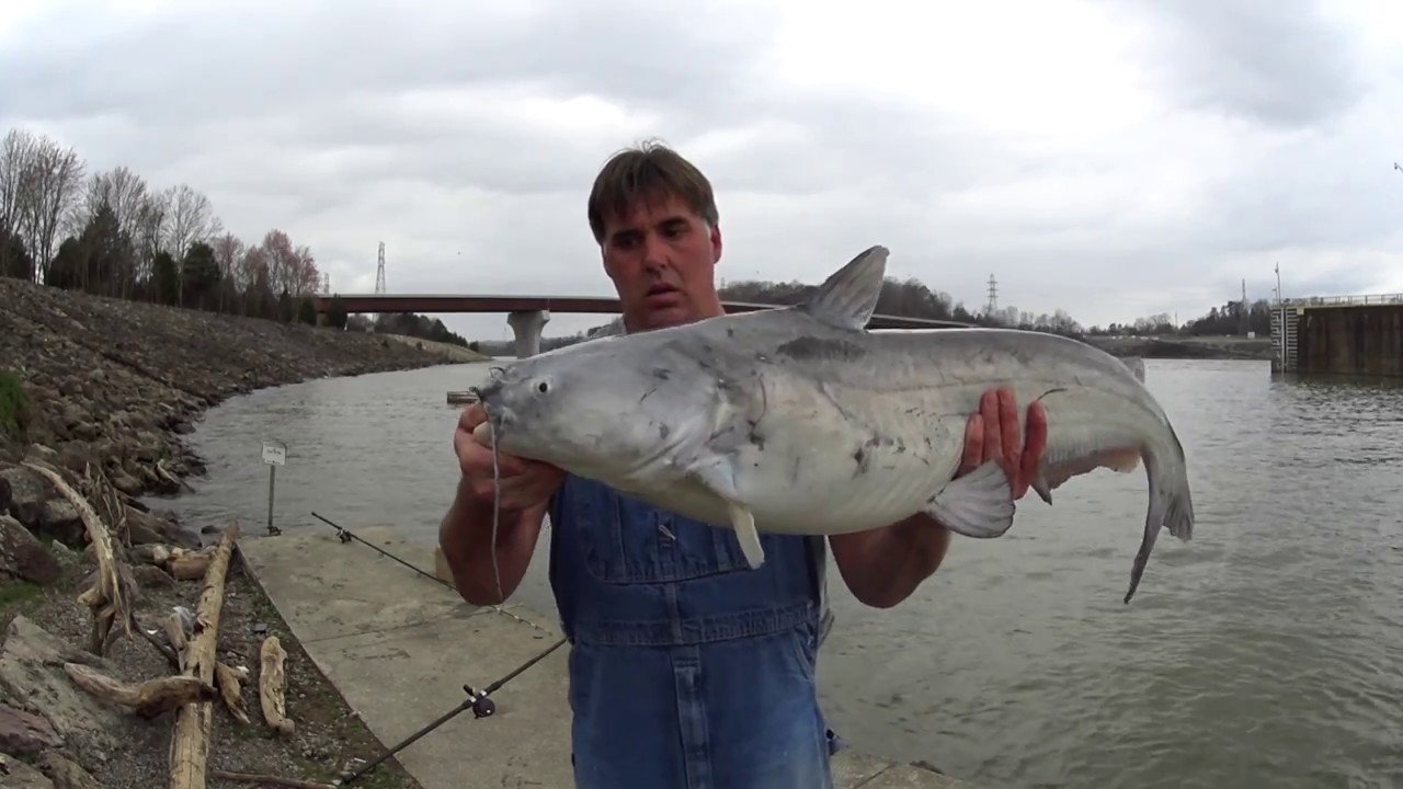 Ft Loudoun Dam/Flood Stage