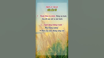 Triết lý của vô vi lão tử #pháttriểntưduy #trietlysong #baihoccuocsong #thongdiepchualanh