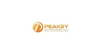 Peakey Enterprise - Indiana Software Development Services screenshot 1