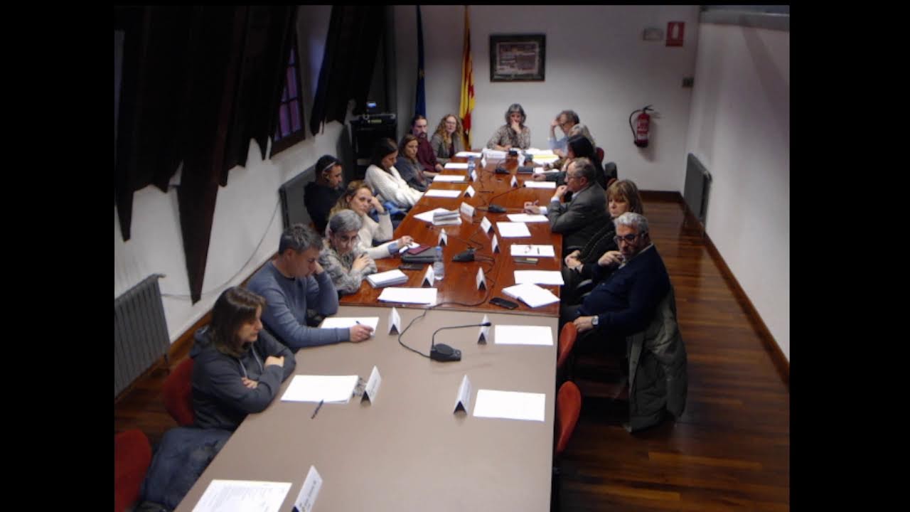 Consell Comarcal Alt Urgell - Ple 19-02-2026