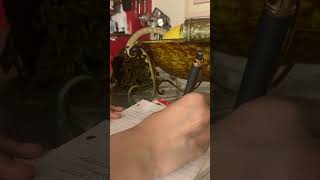 Scripture Writing | Cursive Practice ASMR No Talking 