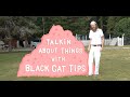 Looking at chickens and talking about plants with blackcattips  a film by danger press