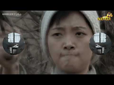 【李云龙】沙漠骆驼（全程高燃）