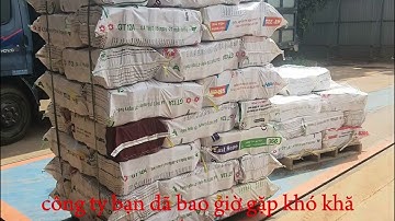 Nhà máy sản xuất củi ép mùn cưa