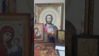 Псалом 11 на церковнославянском #псалмыдавида