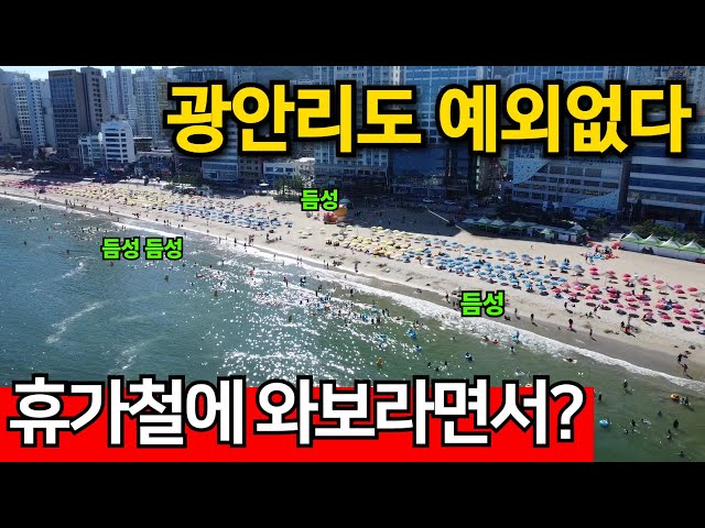 한국사람들 멸종 | 광안리 해수욕장도 1/10토막