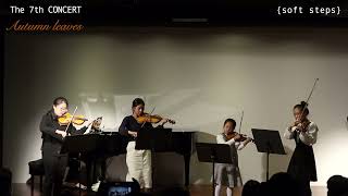 Soft Steps Fly Me To The Moon