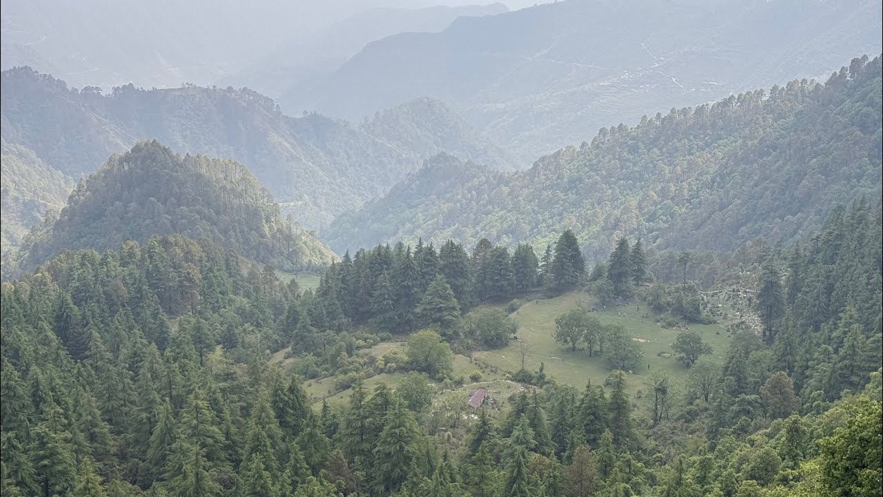 मसूरी के जंगलों में क्रिकेट खेलते बच्चे… लेकिन अचानक सब भाग गए