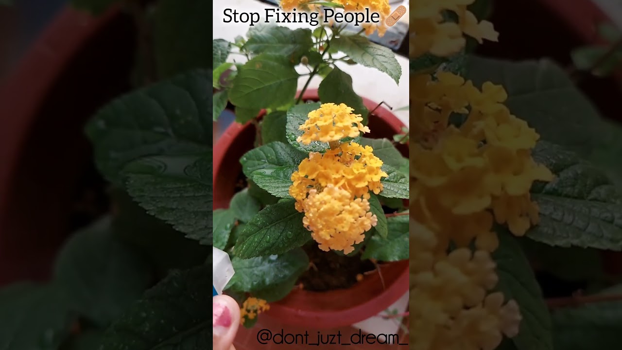 You can't change someone who loves their own chaos🤯.. 