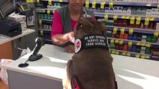 Service Dog helps check out at Walgreens