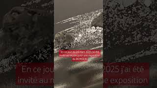 J'ai été invitée au musée pour une exposition du BONSEKI.