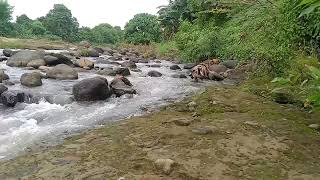 Download Lagu LUMPUR BERLIAN  Andra respati MP3