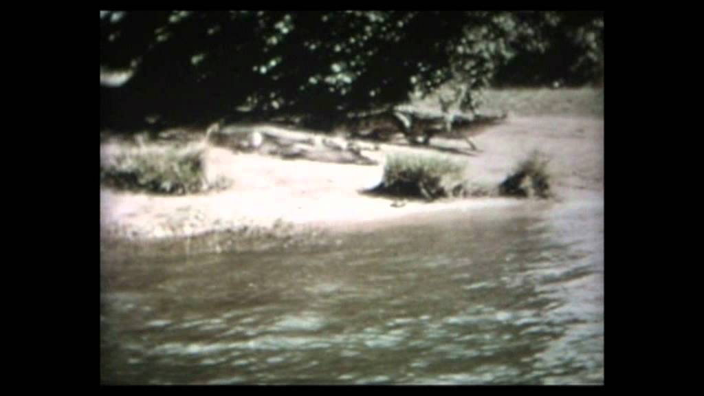 It's Hayling Island Jim, but not as we know it!! 1966