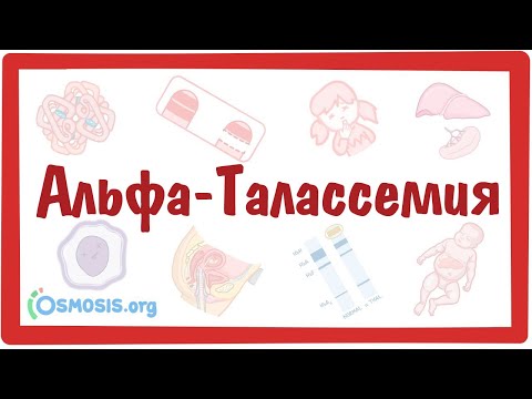 Альфа-Талласемия — причины, симптомы, патогенез, диагностика, лечение