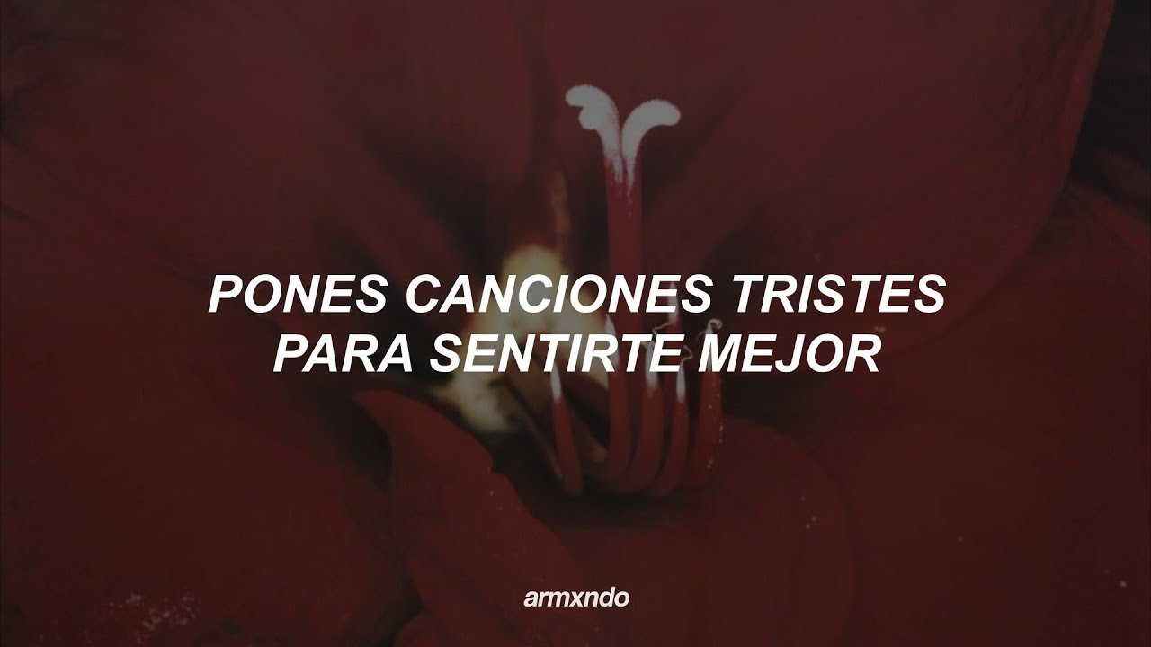 Gustavo Cerati — Adiós [Letra] - YouTube