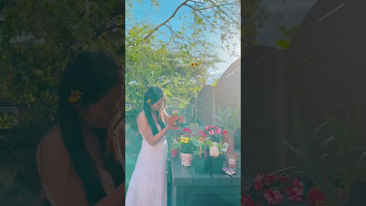 Living in dream life 🌸 