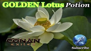 Where to Find Golden Lotus Flowers and New Ores Conan Exiles