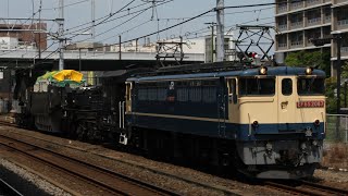 【特大貨物輸送】EF65 2087号機+ヨ8625+シキ801B2c(大型変圧器積車)が辻堂駅貨物線通過!特3.9194レ