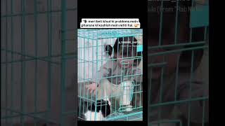 jub baby koi new chz sekh raha ho wo har chz mai fit honay ke koshis krtay hai 😆 #minivlog