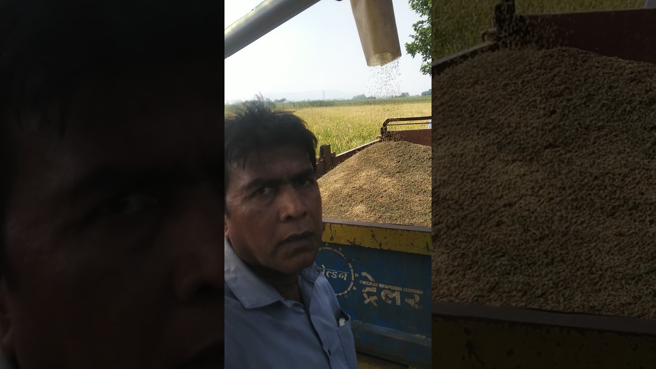 only Nature can Create Food for Us... Milind Chavan 