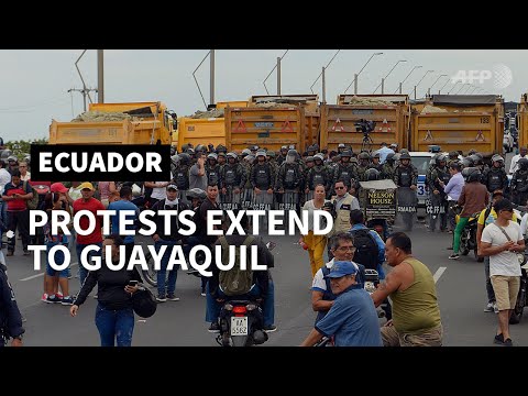 Video: Quello Che Devi Sapere Sulle Proteste In Ecuador