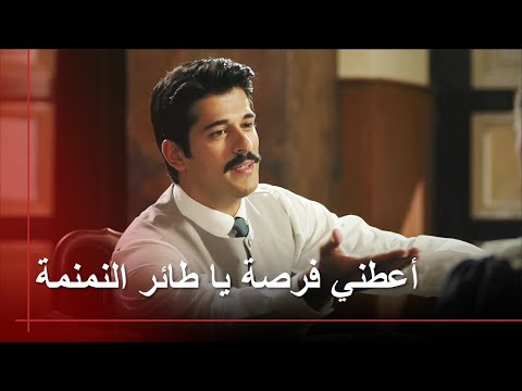 علاجي الوحيد هو أنت فريدة طائر النمنمة 