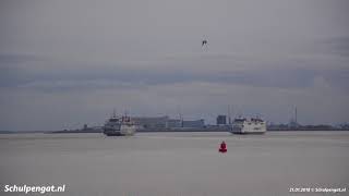 Een Laatste Groet Op Het Marsdiep