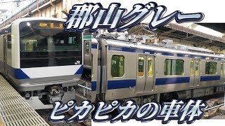 【郡山グレー】ピカピカのE531系をじっくり見るだけの動画。