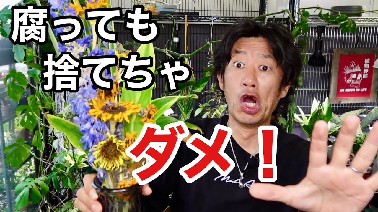 You should never throw away a bouquet of dead flowers. [Gardening