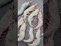 Today fish market variety fishes #fishesvideo #shorts