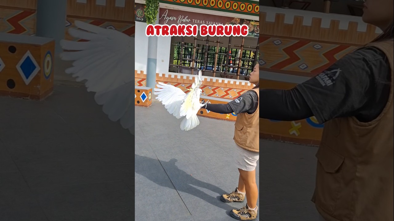 Royal Safari Garden Hotel | Atraksi Burung