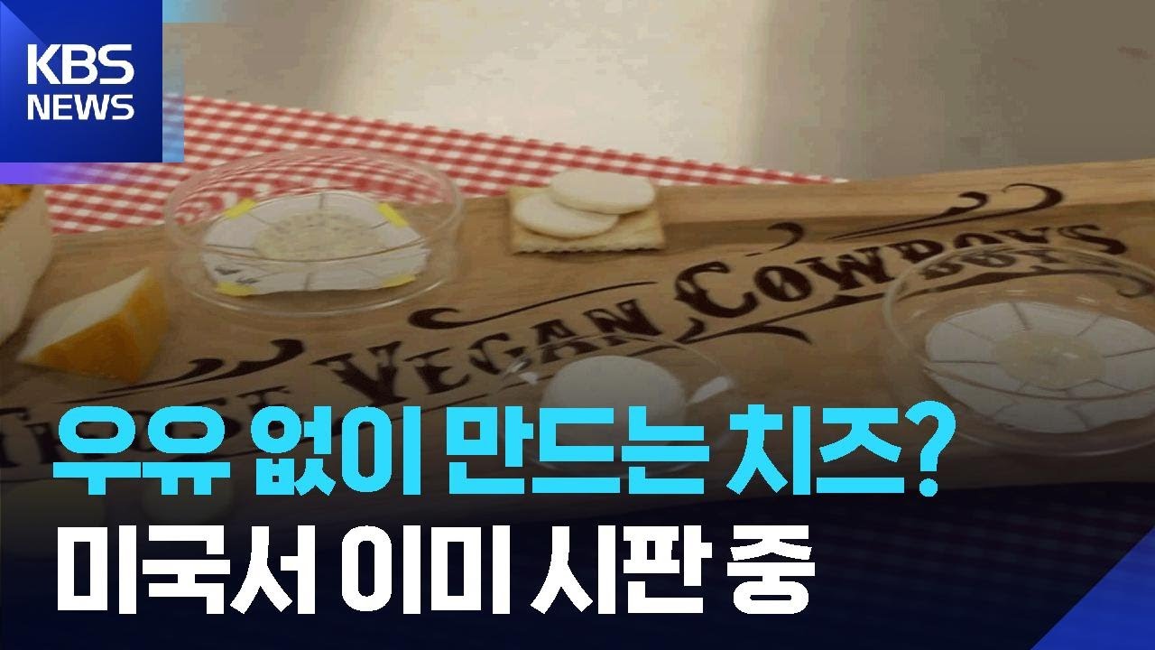 [글로벌K] 우유 없이 치즈를 만든다? 미국서 이미 판매 중이라는 단백질 치즈 / KBS  2025.12.26.