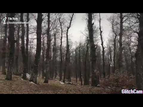 أجمل مكان في لبنان قضاء عكار قموعة غابة العزر