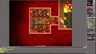 Tibia Annihilator Quest on 137 Druid