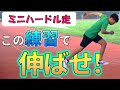 【陸上短距離】ミニハードル走の練習効果【100m,200m走速く走るコツ】