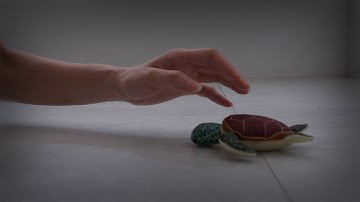 They Come in Waves - Official Teaser