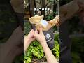 アロハクレープのおすすめ【チョコバナナ】クレープ✨
