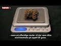Lovlig fra i dag