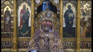 видео: Архимандрит Амвросий (Юрасов). Когда мы совершаем грех, мы как бы отказываемся от Бога. 8.03.2015 г. картинка: Архимандрит Амвросий (Юрасов). Когда мы совершаем грех, мы как бы отказываемся от Бога. 8.03.2015 г.