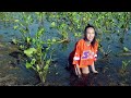 Hot Asian Cheerleader Girl Having Fun in Muddy Swamp | Ruin Air Jordan 1 | Girl in Mud | WAM