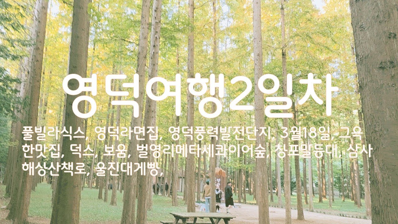 영덕2일차 ﻿﻿풀빌라식스, 영덕라면집, 영덕풍력발전단지, 3월18일, 그윽한맛집, 덕스, 보움, 벌영리메타세콰이어숲, 창포말등대, 삼사해상산책로, 울진대게빵 yeongdeok