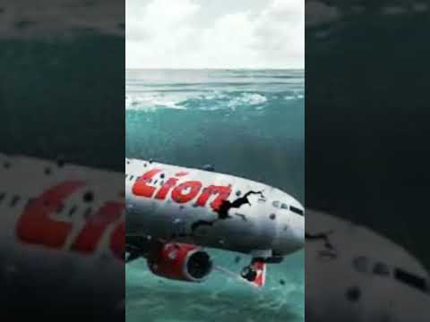 pesawat Lion air jatuh. pramugari nya 5 tersisa baju dan rok nya aja🙏 kasian 😭😭😔😔