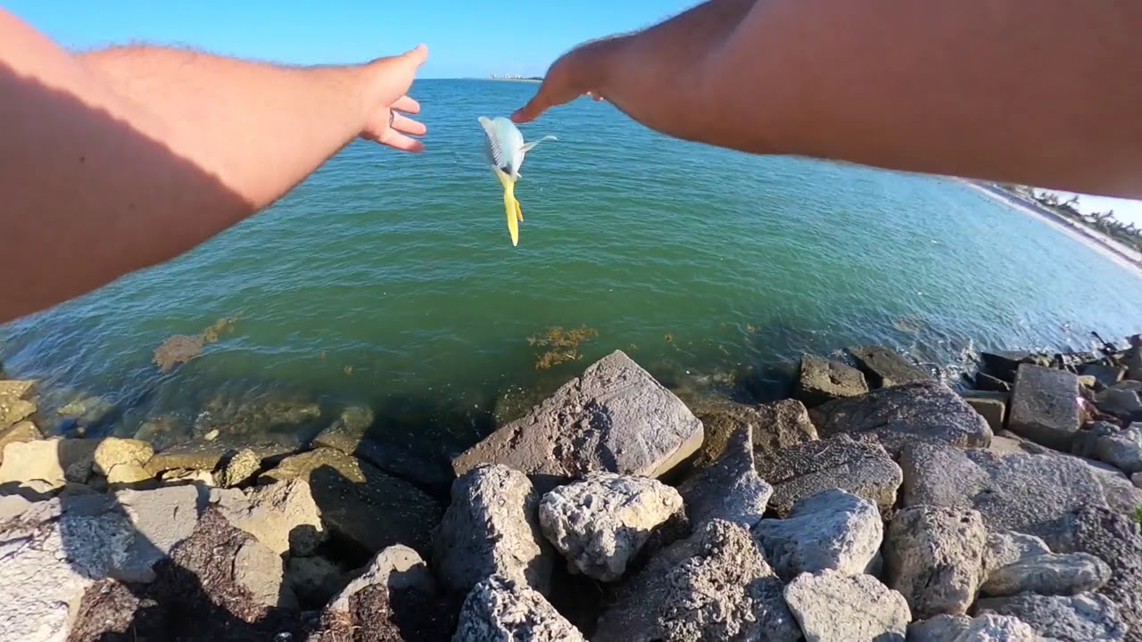 fort pierce inlet fishing is on fire epic day.