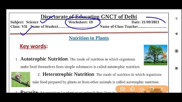 Science worksheet 19 class 7 (21/9/21) ENGLISH medium/worksheet 19 science class7/class7 science
