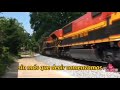 2 de Trenes de NS y Union Pacific ( Tren de elian y cois )