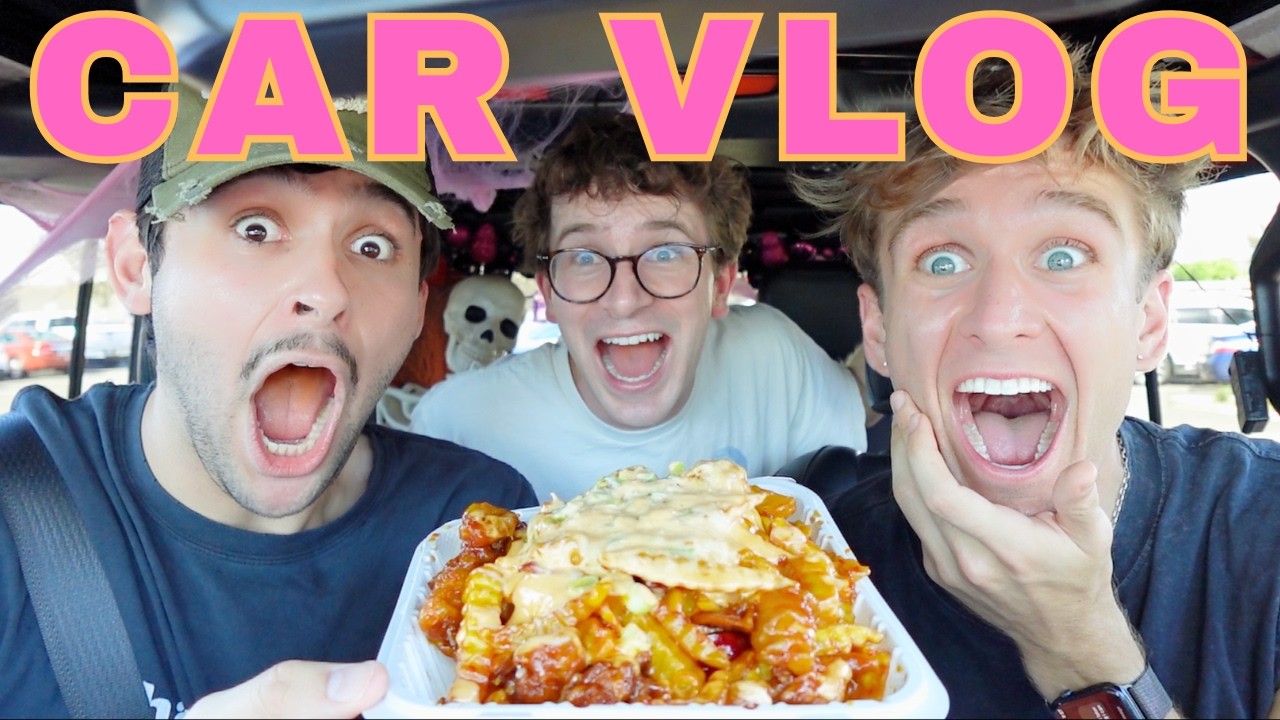 ORANGE CHICKEN FRIES CAR MUKBANG + VLOG ft. Scott and Carter