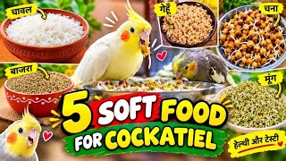 5 Best Soft Foods for Cockatiels | कॉकटील के लिए नरम और Healthy Food  screenshot 5